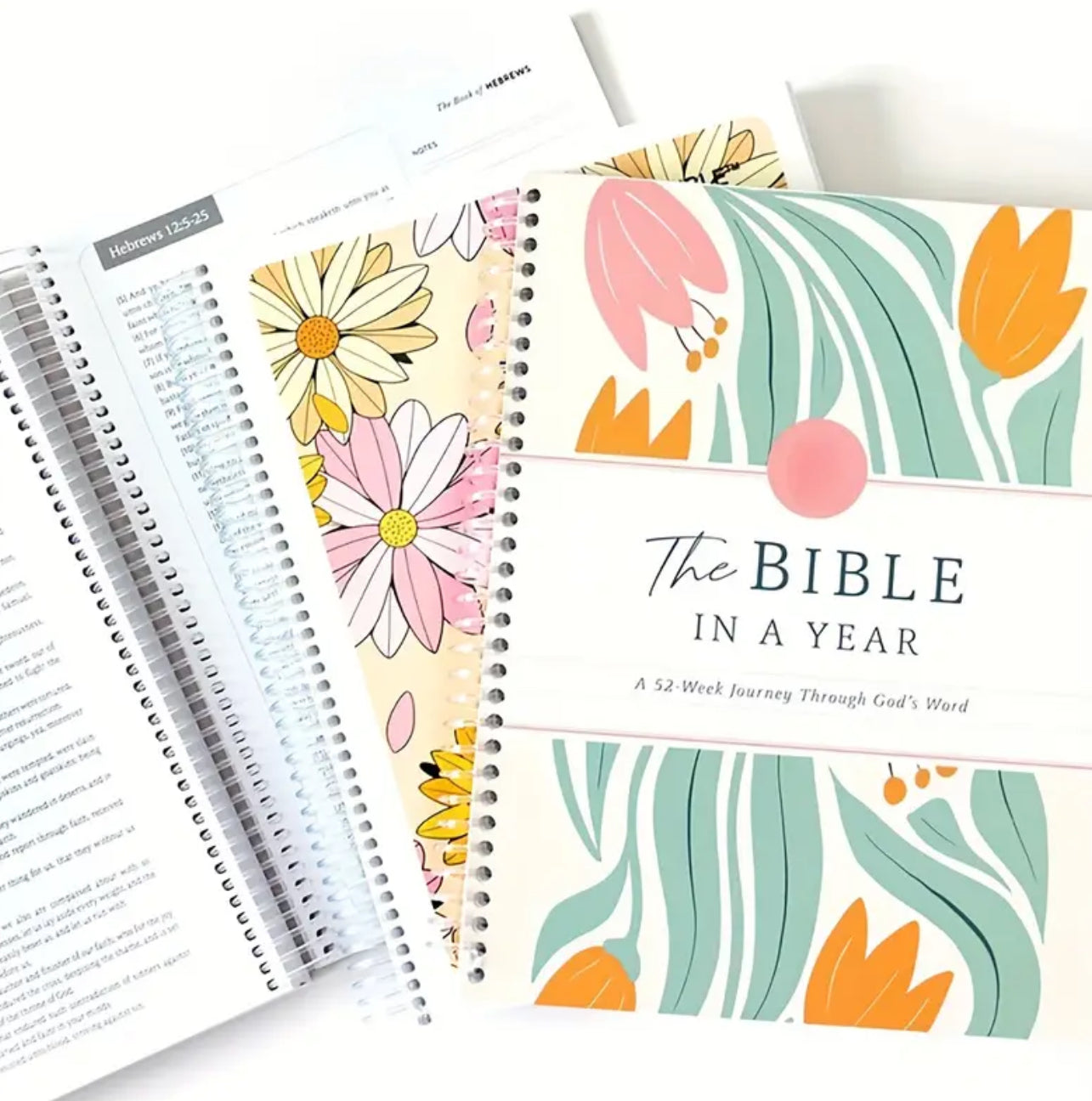 the BIBLE